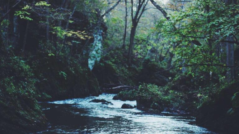 How Does 99Exch Mobile Verification Work?